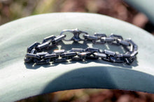 Load image into Gallery viewer, Winchester