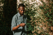 Load image into Gallery viewer, Nova Band